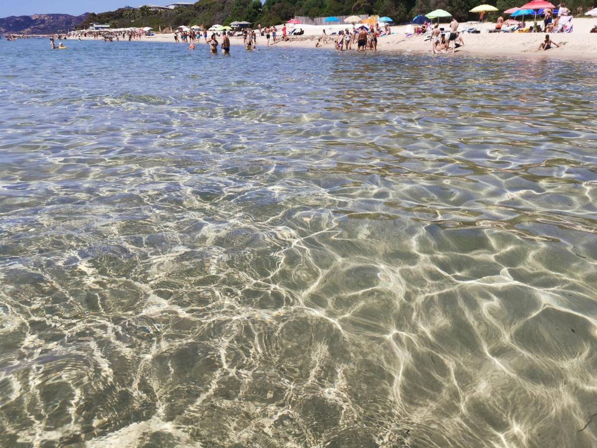 Deliziosa Villetta Sul Mare Appena Ristrutturata Пула Екстериор снимка